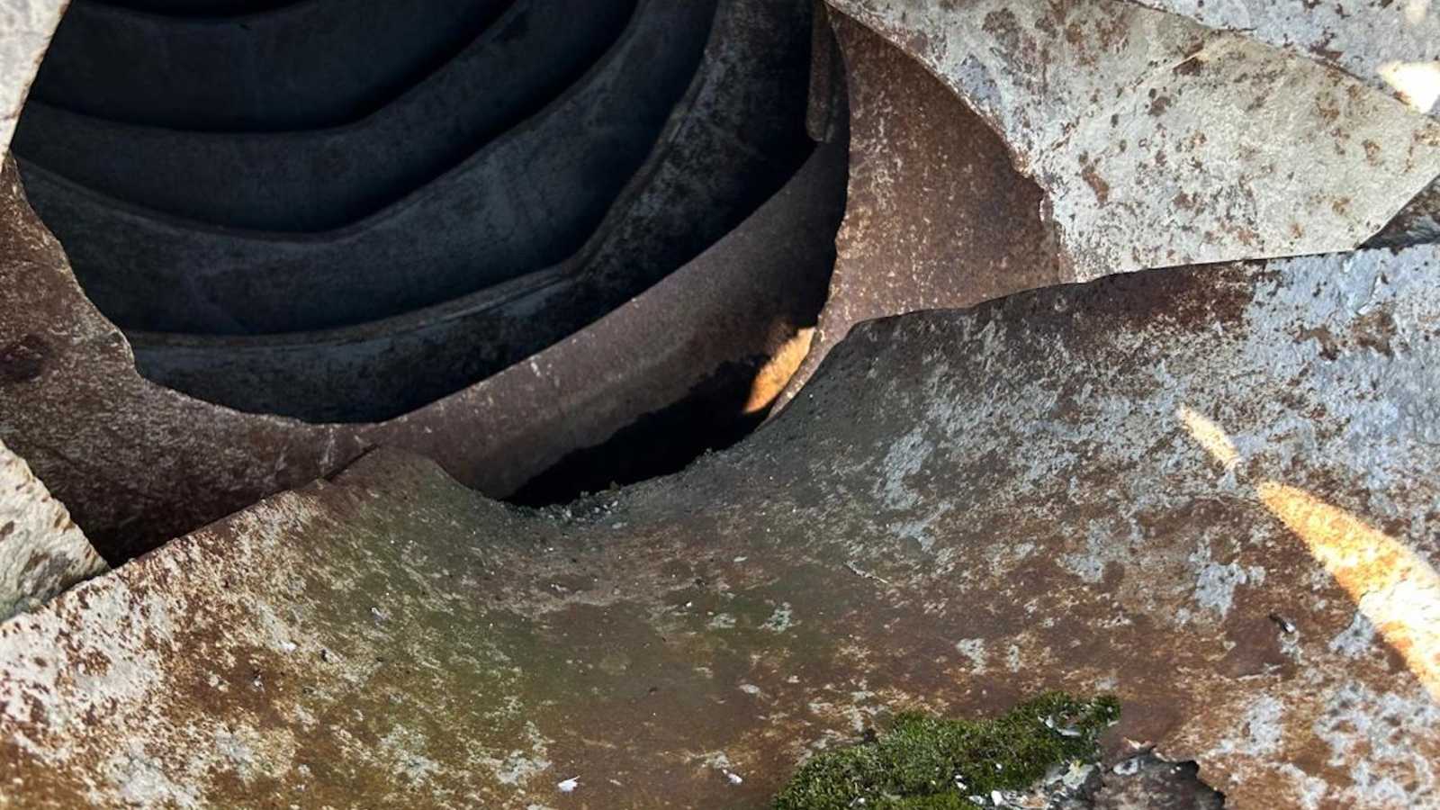 OmecoHub - Immagine 9